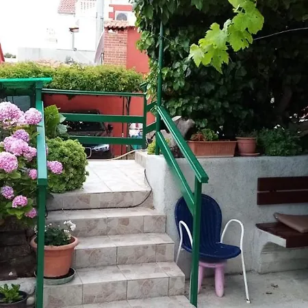 Oasis *